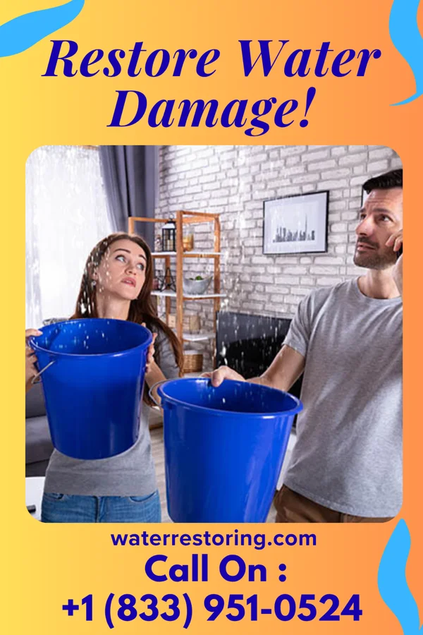 water restoration Silver Recovery Professionals Nicholson